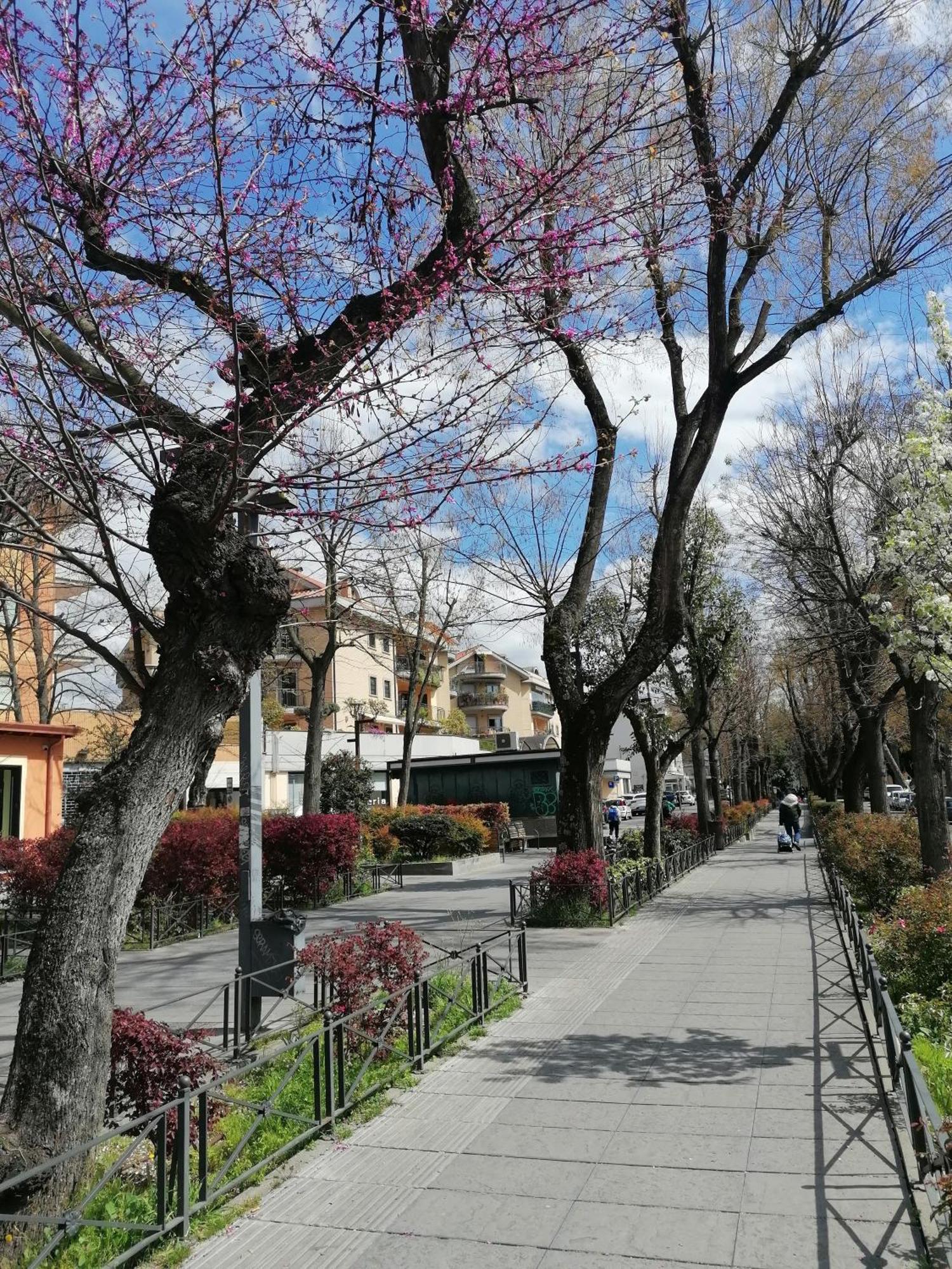 La Passeggiata Διαμέρισμα Monterotondo  Εξωτερικό φωτογραφία